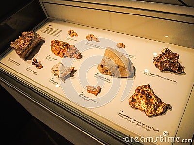 In the hall of exhibition centre shows a gold in different kind of the rocks, display in a glass case. Editorial Stock Photo